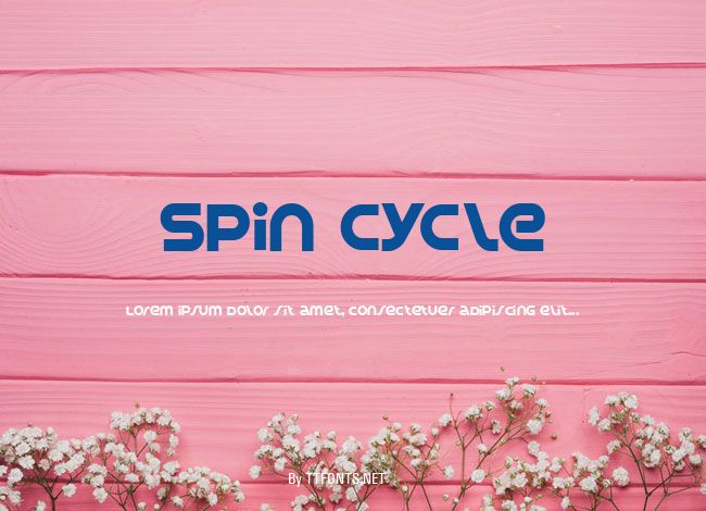 Spin Cycle example